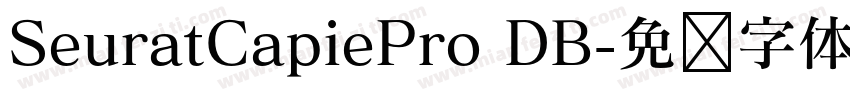SeuratCapiePro DB字体转换